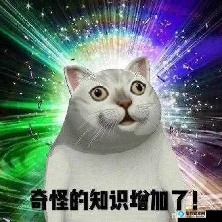 猫头鹰中的猫？神脑洞游戏第220关图文攻略深度剖析与解析